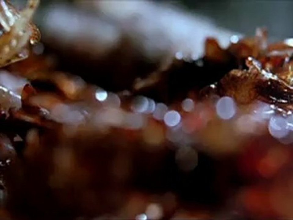 ISOLATION - Bande-annonce VF