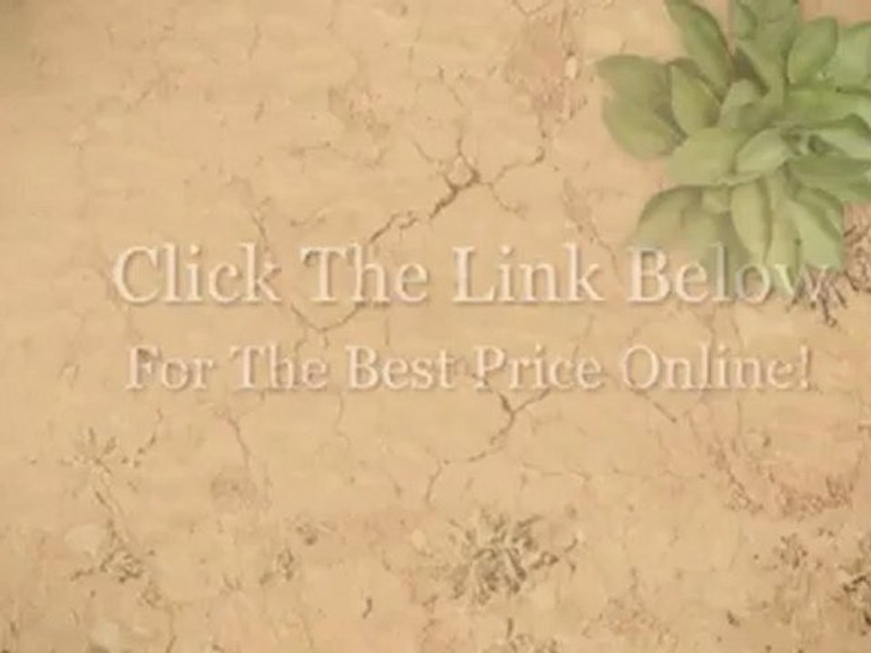 Review - Pentax Fixed 55mm f 2.8 Standard Lens for ...