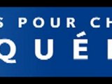 5 idées pour changer le Québec