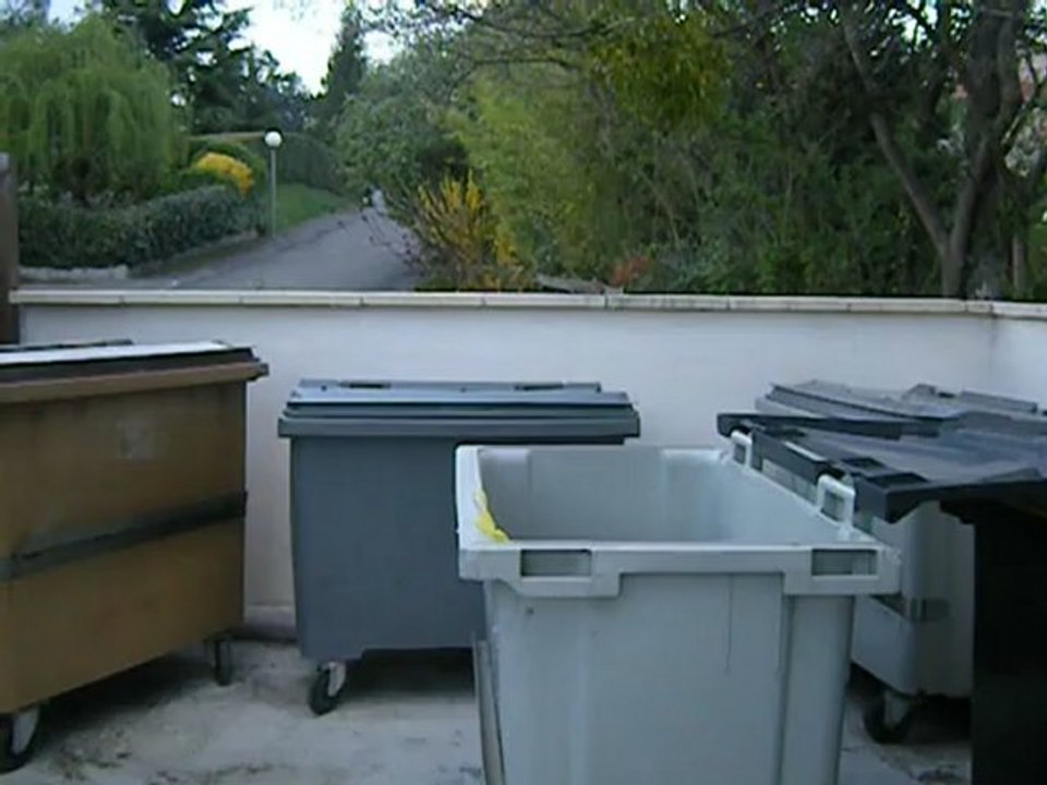 tir dans la poubelle