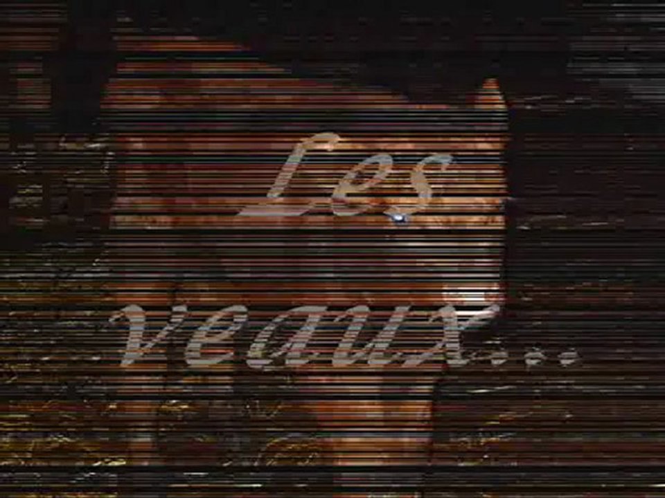 Elevage Fournier: vaches salers. Hiver 2011-2012