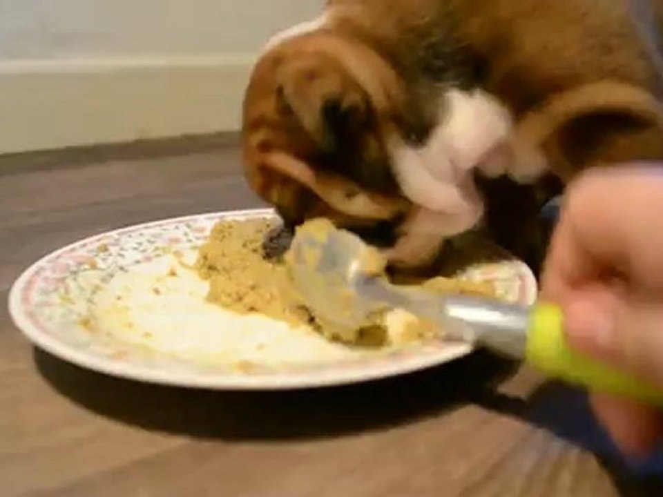 Bouilliiiieee !
