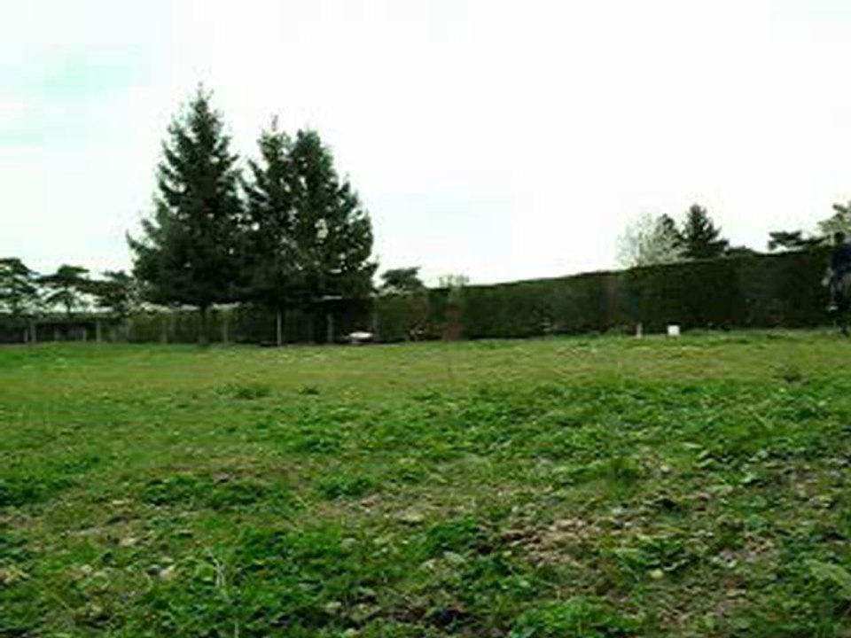 point to point freest 04.12