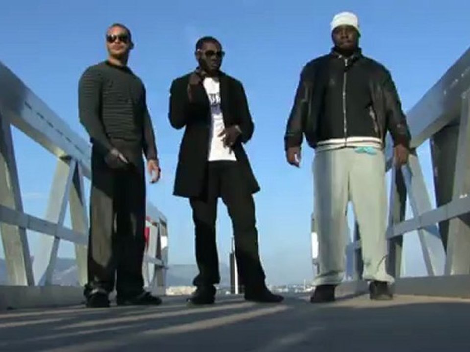 FAUVE ATTITUDE-ILLEGAL_[PETRIFICATION]