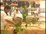 Finale régionale des olympiade des métiers Jardinier Paysagiste Lycée de Rignac 2008