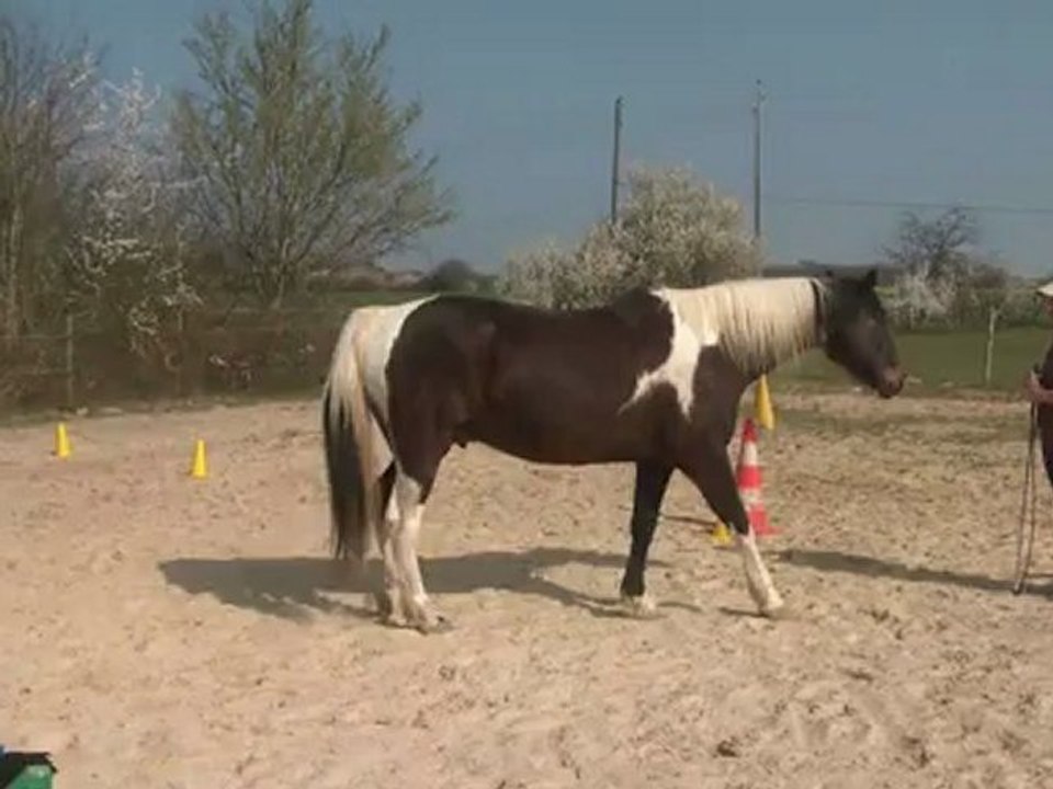 30.03.2012.j.nasdak.liberte