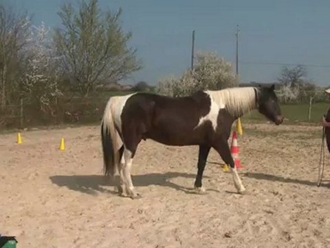 30.03.2012.j.nasdak.liberte