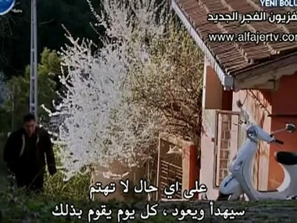 marsalm-2-4