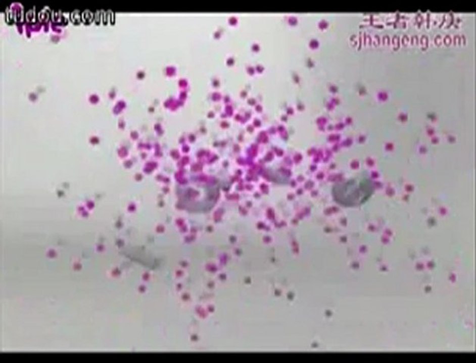 super junior 出道全记录 (part16)