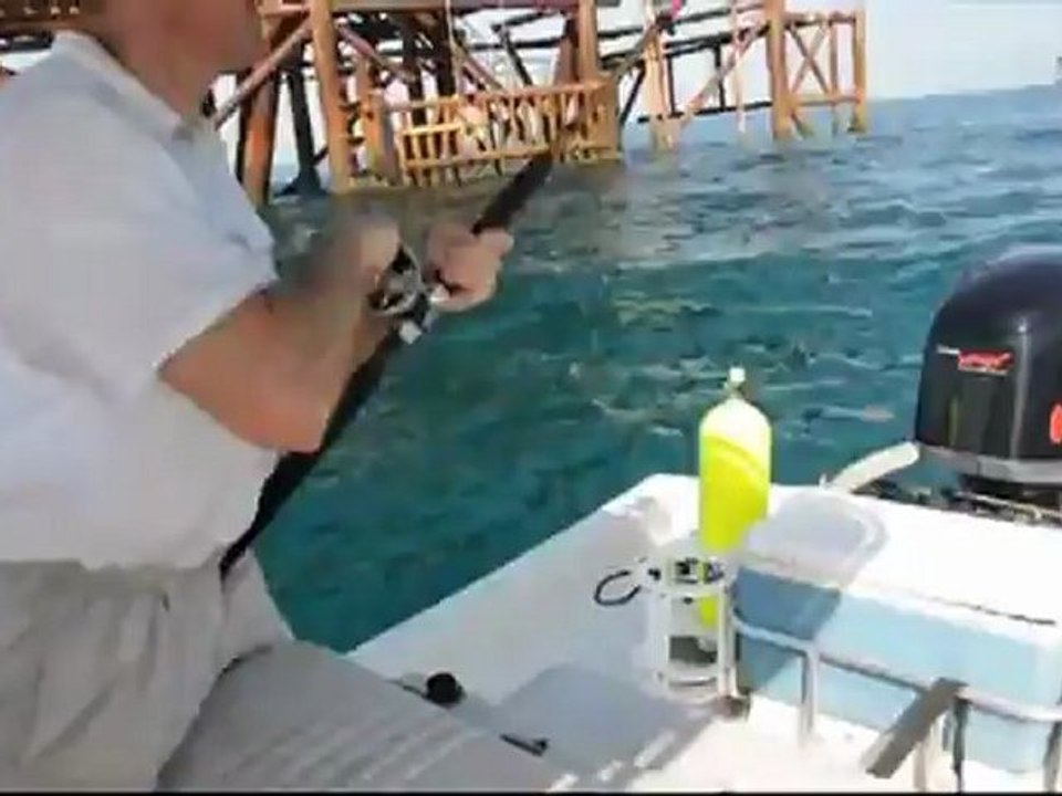 Saltwater Fishing -How To Catch a Kingfish