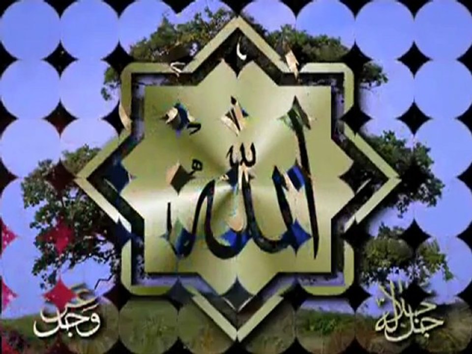 دعاء الشعراوي