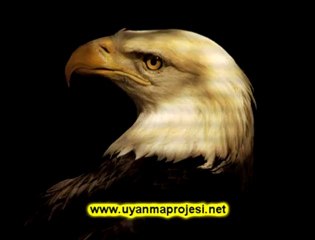 Büyük Oyun Belgeseli - 7