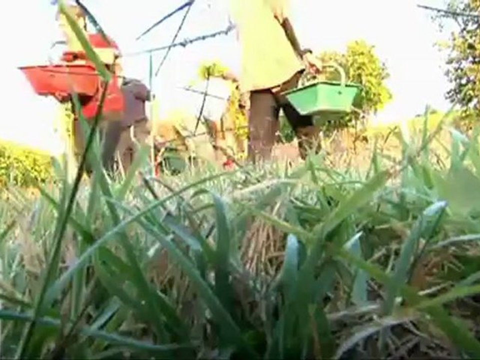 Vidéo des Côtes de Bordeaux, présentation des vignobles....