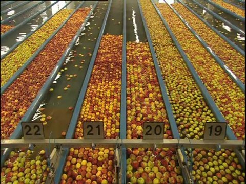 NOTRE PAIN QUOTIDIEN - Bande-annonce VF