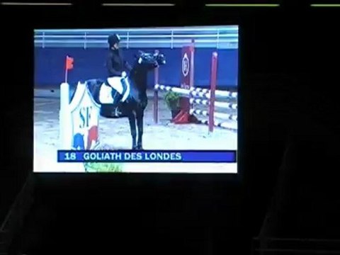 GOLIATH DES LONDES PRESENTATION ETALONS ST LO- 2012