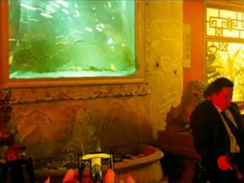 GOMEZ VS TAVARES - Bande-annonce VF