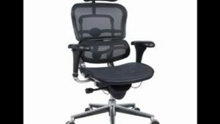 Ergohuman Executive Chair With Headrest