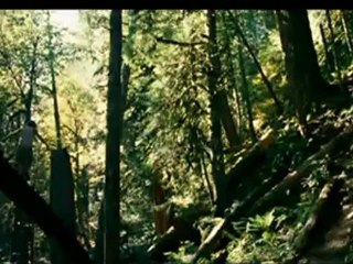 INTO THE WILD - Bande-annonce VF
