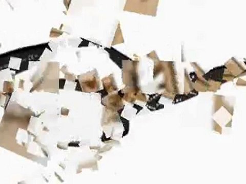 Emporio Armani Glasses & Gucci Glasses