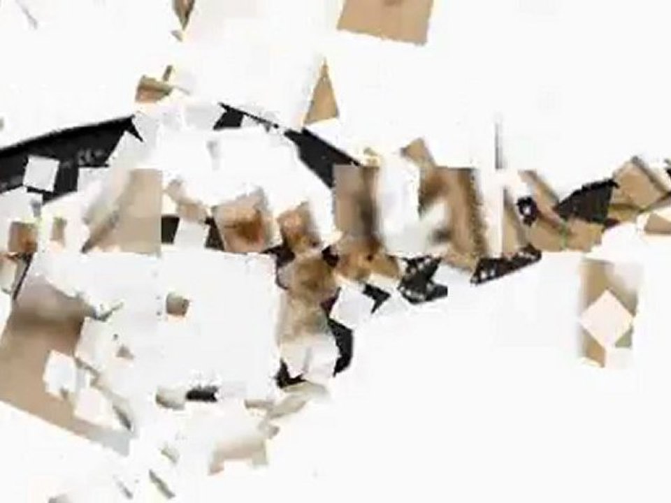 Emporio Armani Glasses & Gucci Glasses