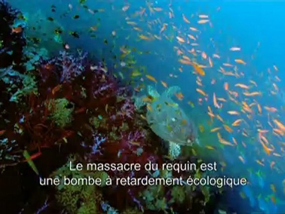 LES SEIGNEURS DE LA MER - Bande-annonce VO