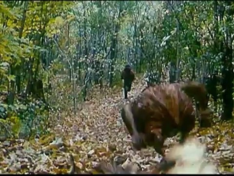 LES CHRONIQUES DE SPIDERWICK - Bande-annonce VO