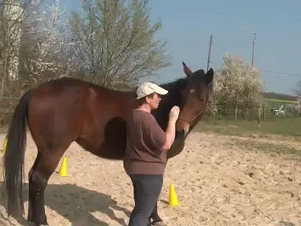 30.03.2012.b.tliloa.recule.flexions