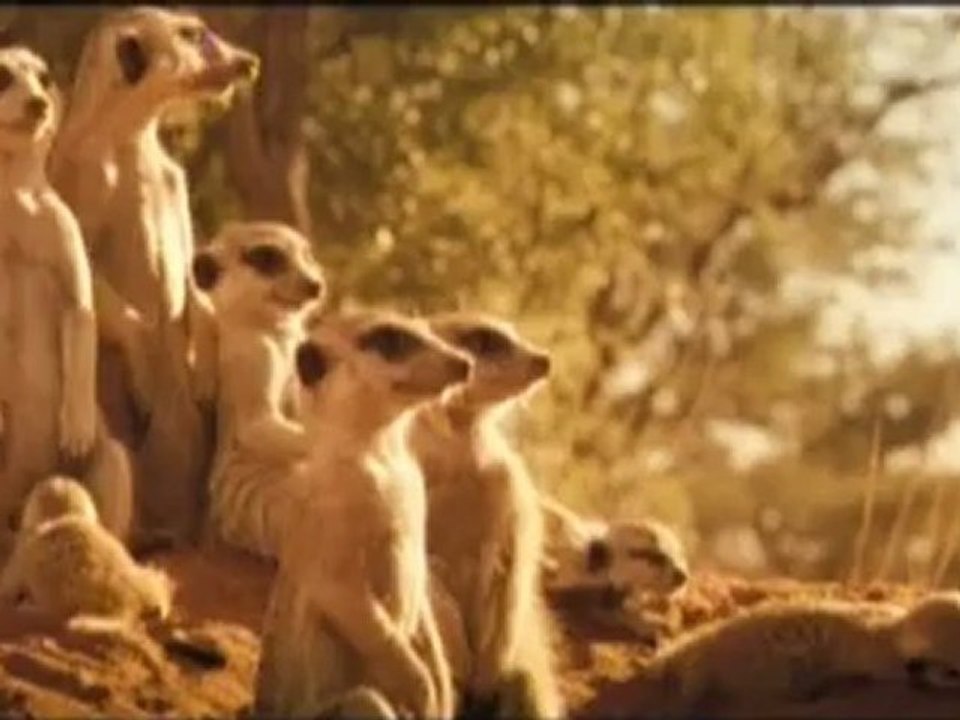 LA FAMILLE SURICATE - Bande-annonce VF