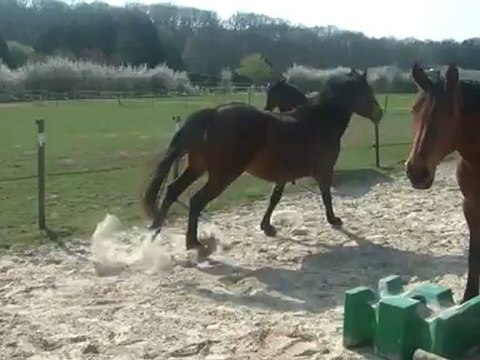 30.03.2012.f.tliloa.liberte