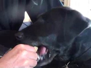 enfin je l'ai mon bout