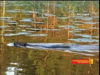 FINLANDE - Bande-annonce VF