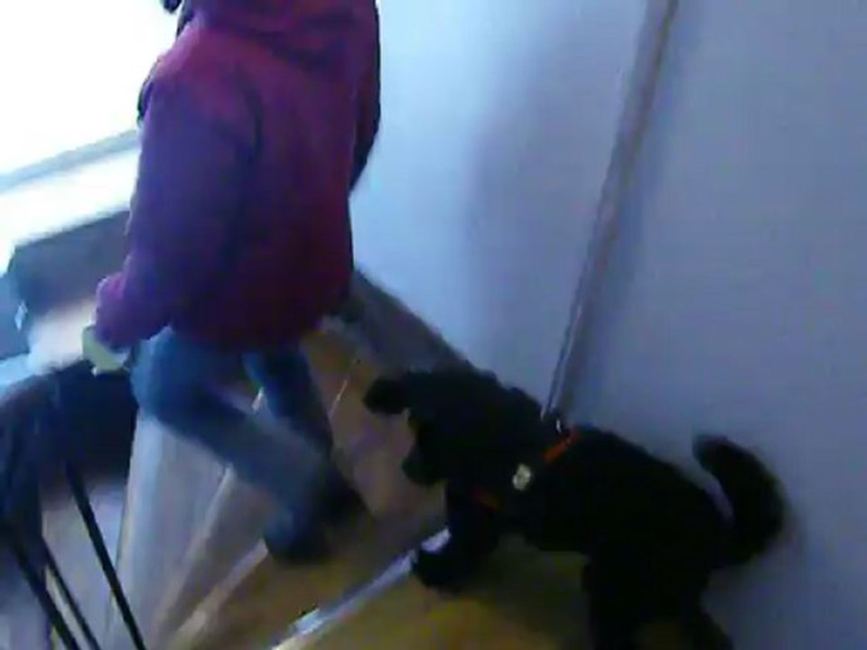 Attente en haut de l'escalier