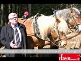 André Mugnier explique pourquoi la ville d'Annecy a choisi le débardage à cheval du bois
