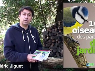 100 oiseaux des parcs et des jardins - Frédéric Jiguet