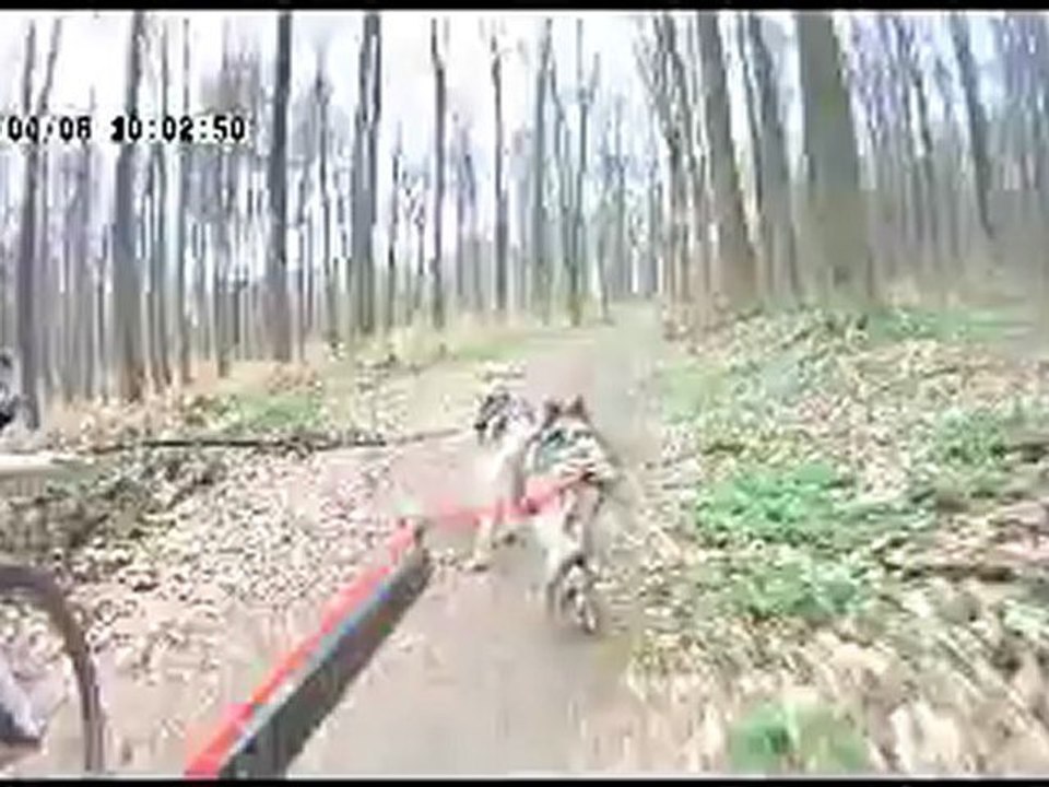 entrainement gin et achak 0604