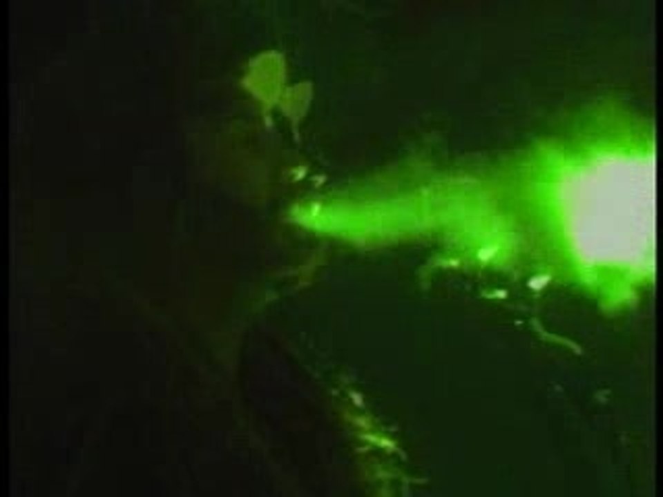 Arrive ici //  Clermont & Sans Pression