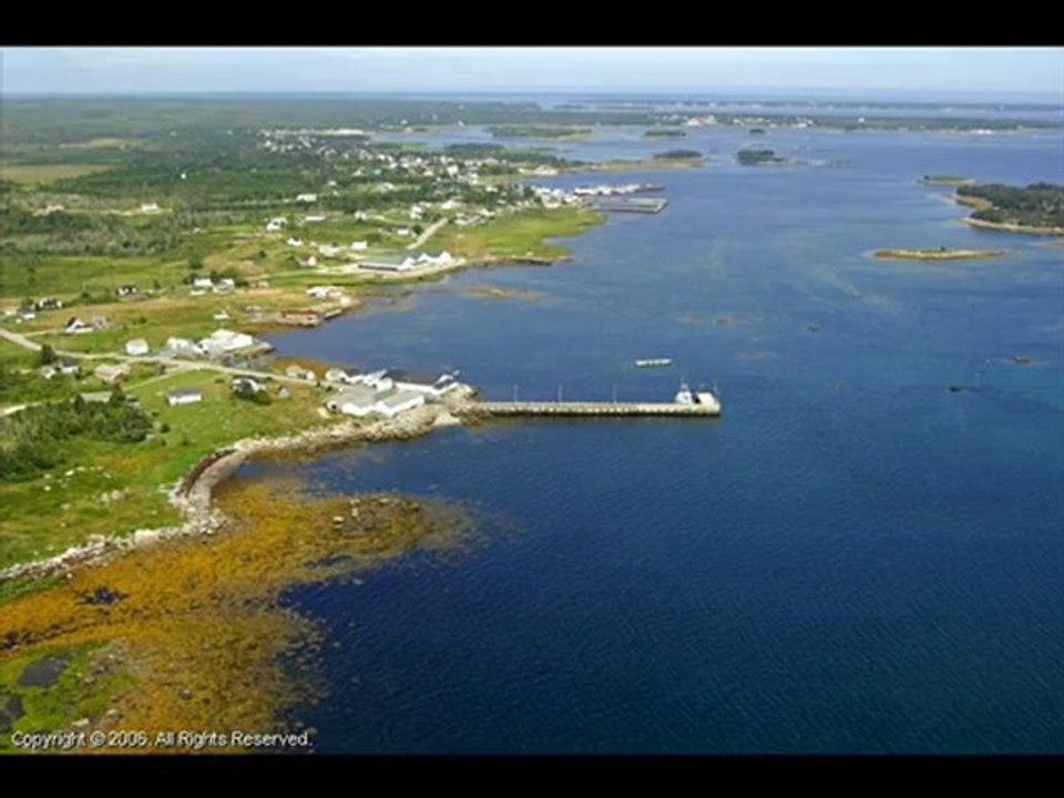 Stéphanie Lapointe  L'Infidèle