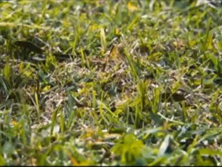 DESTINATION FINALE 4 EN 3D - Bande-annonce VO