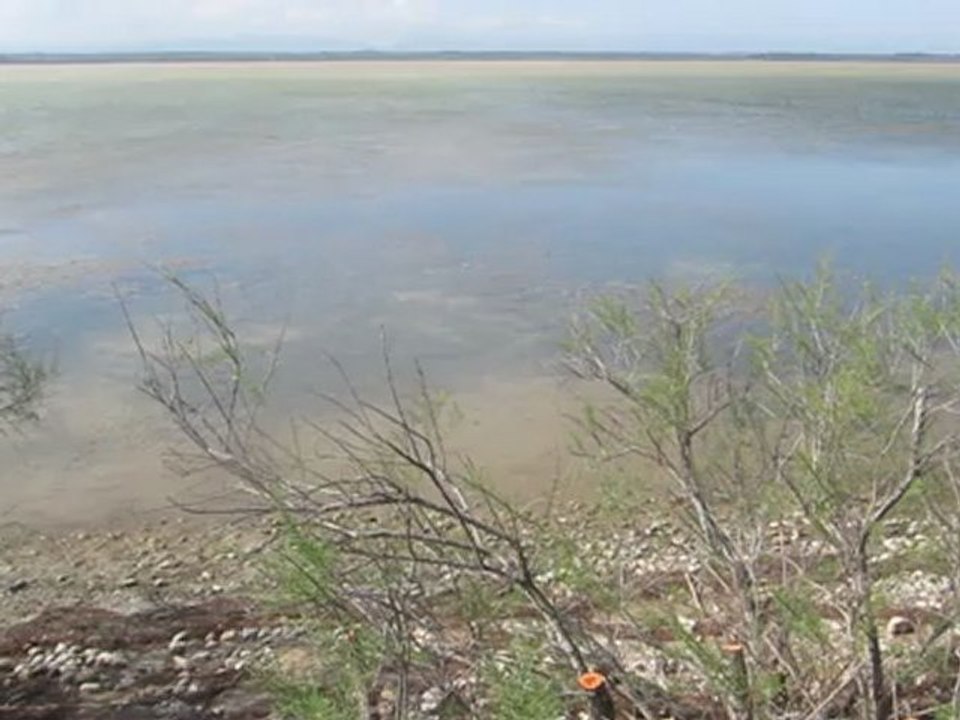 Bord de l'étang de Canet (Pyrénées Orientales) à partir du site d'observation au village des pécheurs