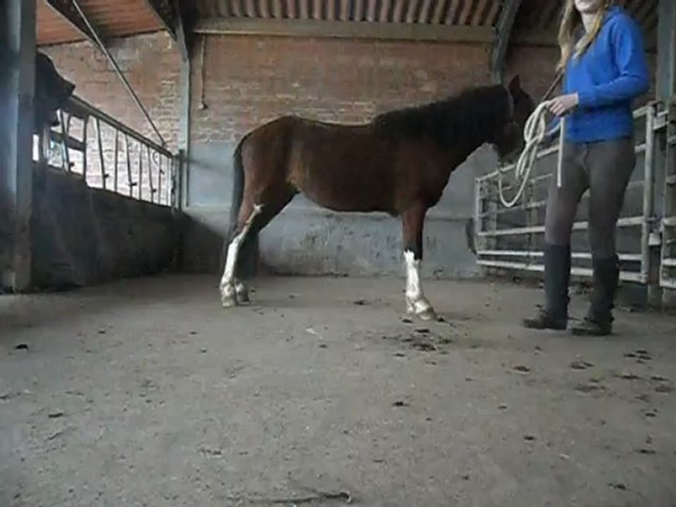 J'ai appris la jambette a Ricky :P