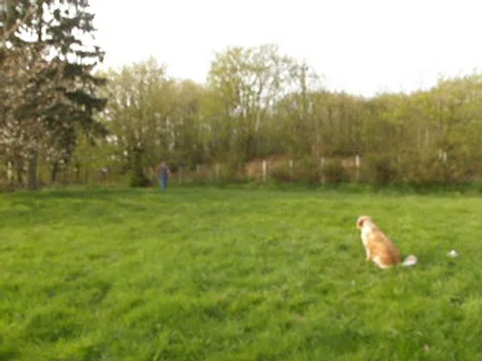 everly aveugle appuyer d'un coup de feu plus  une direction droite