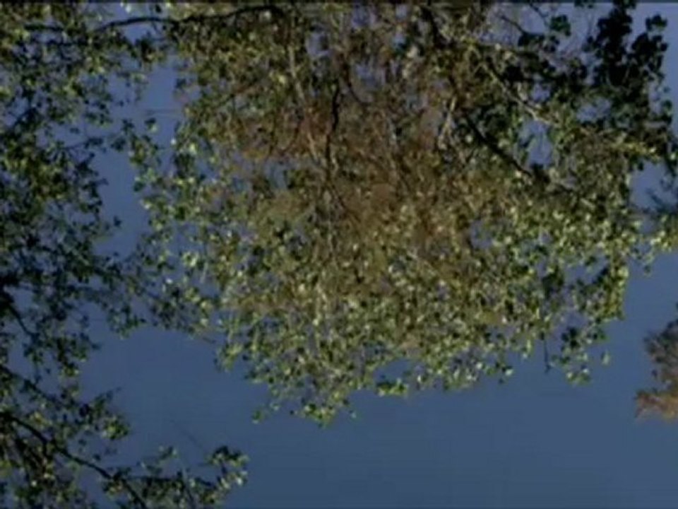 NAVIDAD - Bande-annonce VO