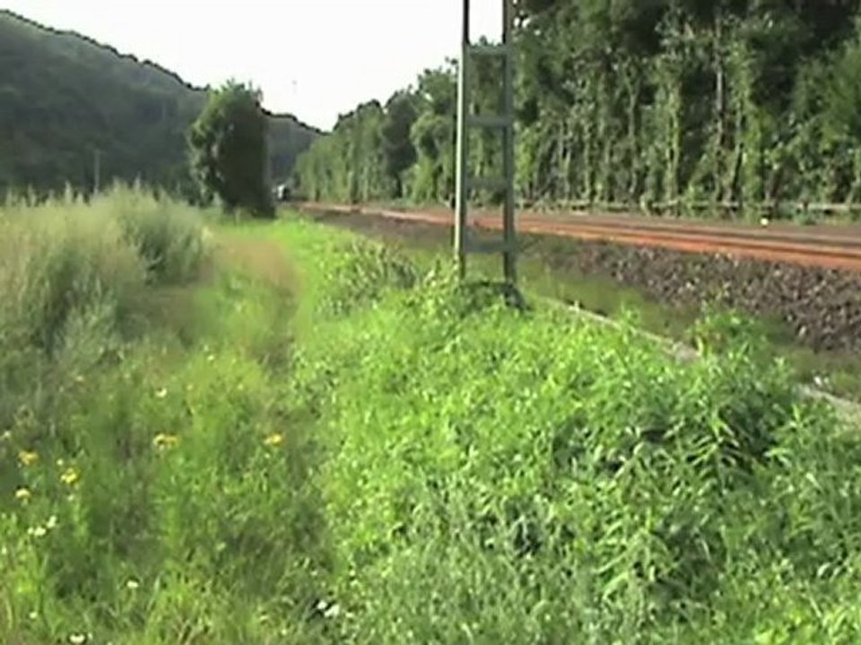 Züge zwischen Brohl-Lützing und Namedy, ICE 401, 145, 2x 146, 185, 4x 101, 2x 460