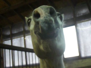 Floppy de Février ♥