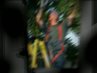 Dwaine Landscaping & Tree Inc.