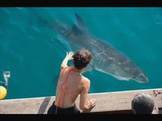 Dark Tide 2012 Watch Movie