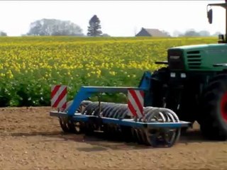 plantage de pomme de terre dans la somme
