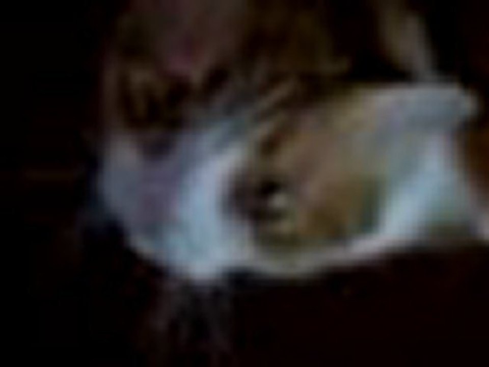 Pitou