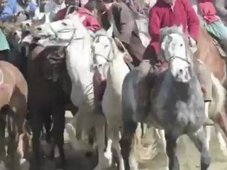 Des cavaliers jouent au Buzkashi, un sport traditionnel afghan