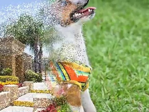 Portofino Apartments in Chino Hills, CA - ForRent.com